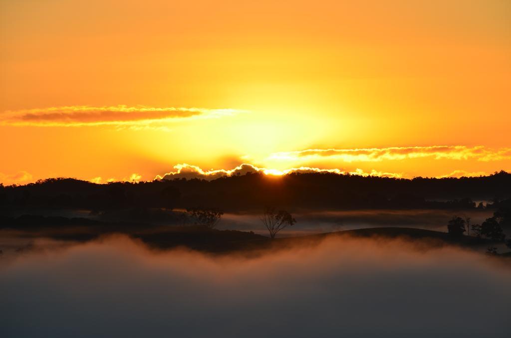 Tinaroo Sunset Retreat Bed & Breakfast Barrine Dış mekan fotoğraf