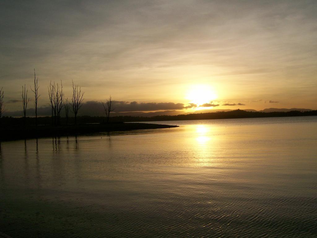 Tinaroo Sunset Retreat Bed & Breakfast Barrine Dış mekan fotoğraf